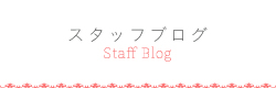 スタッフブログ